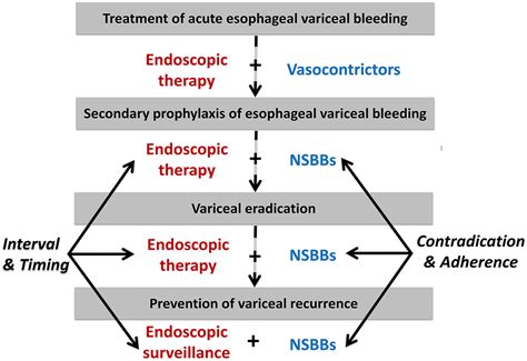 beta blockers for varices|Use of nonselective β blockers after variceal eradication in .